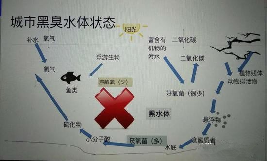江蘇億元投資治污新技術(shù) 石墨烯能否治理黑臭水體？