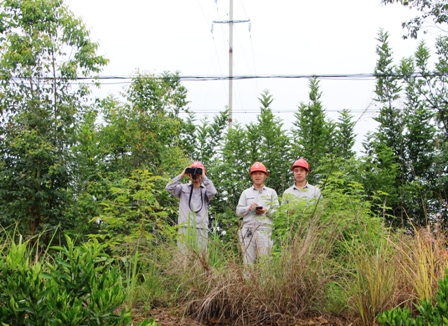 國網(wǎng)江永縣供電公司:負(fù)責(zé)人帶隊(duì)巡線，精施策護(hù)網(wǎng)保電