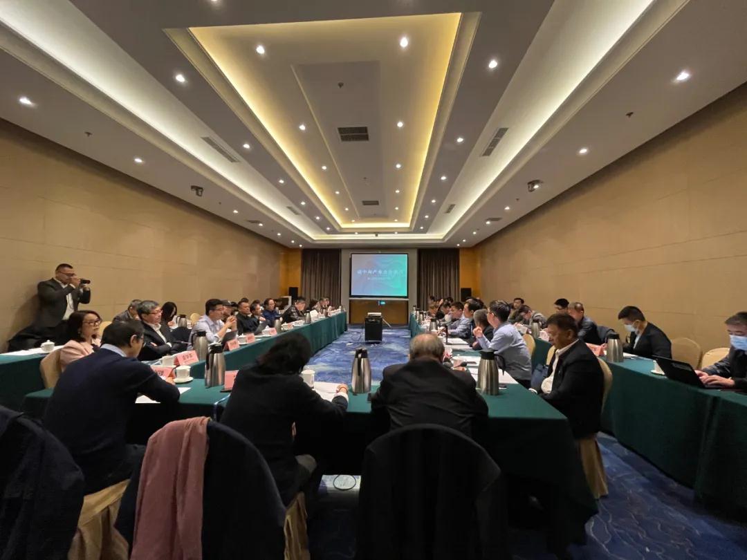 視全局、促合作，碳中和產(chǎn)業(yè)合作組織籌備會在京召開