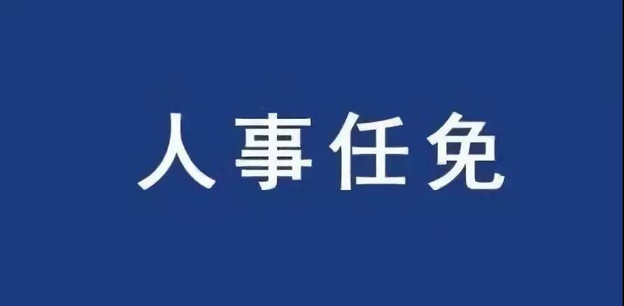 重磅！張智剛?cè)螄译娋W(wǎng)總經(jīng)理、黨組副書記，韓君出任三峽集團(tuán)總經(jīng)理