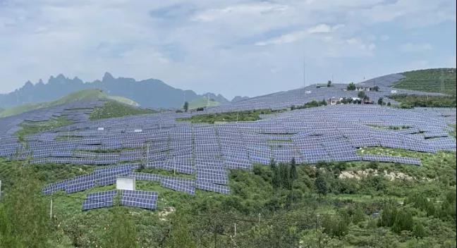 少長一棵草，多發(fā)一度電，助力碳中和