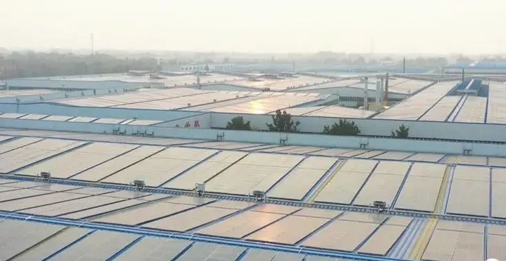 投資達(dá)9億！山東寒亭區(qū)447MW整縣分布式光伏項(xiàng)目正式啟動(dòng)