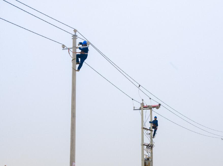 阿拉善供電公司:電網(wǎng)健康“體檢”,從登桿開始
