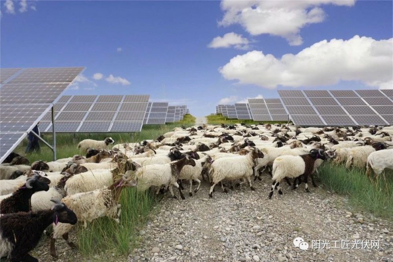 面積接近一個(gè)新加坡！青海塔拉灘光伏電站照亮“陽光之路”