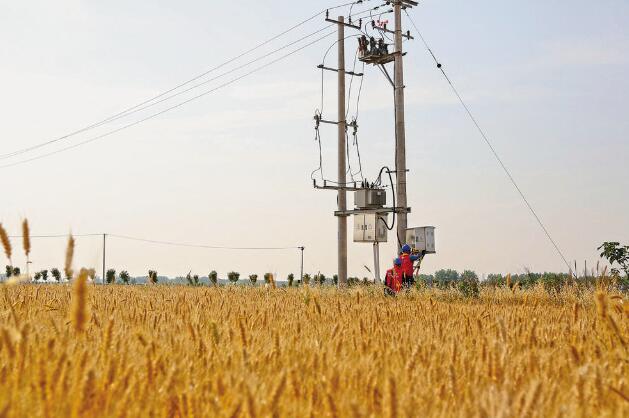 安徽阜陽(yáng)：“旱了能澆，澇了能排”