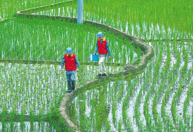 國家電網(wǎng)公司：全力以赴做好抗疫保供電，持續(xù)優(yōu)化電力營商環(huán)境