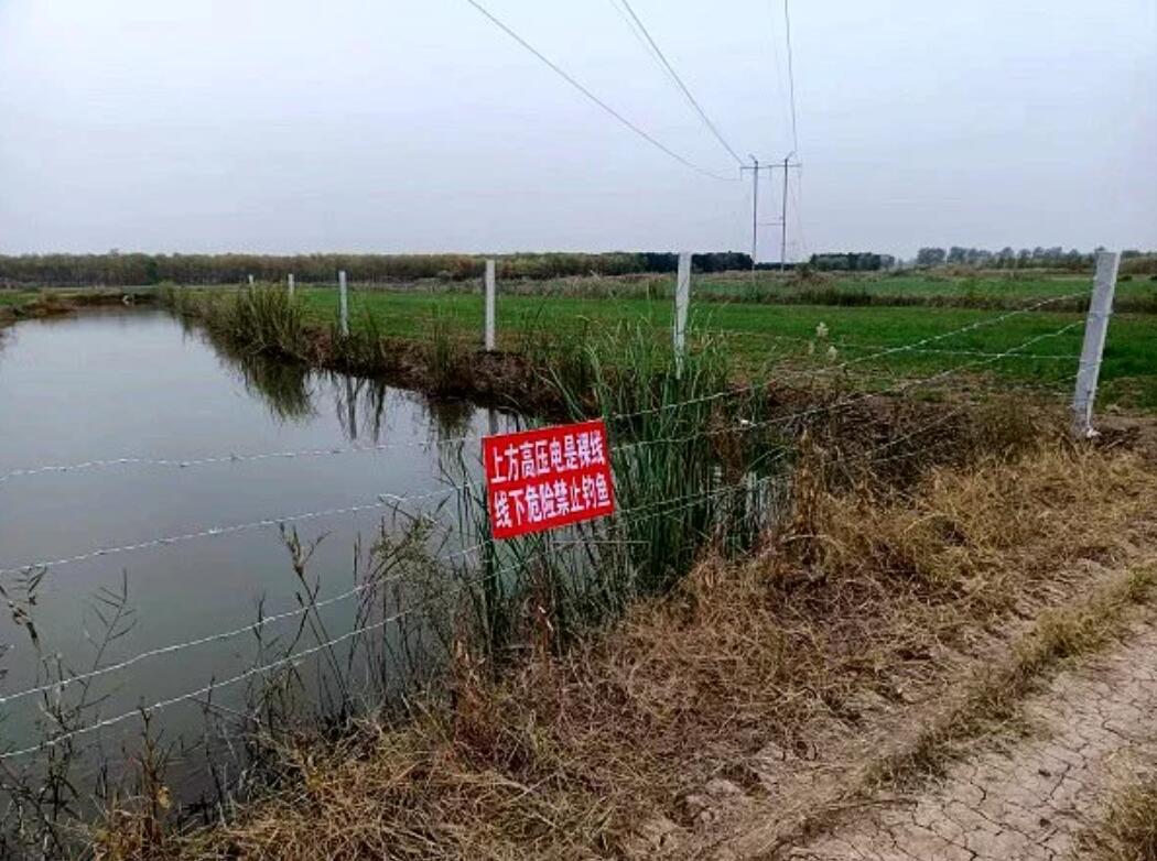 國網(wǎng)濟(jì)寧供電公司治理垂釣隱患，保電網(wǎng)安全運(yùn)行