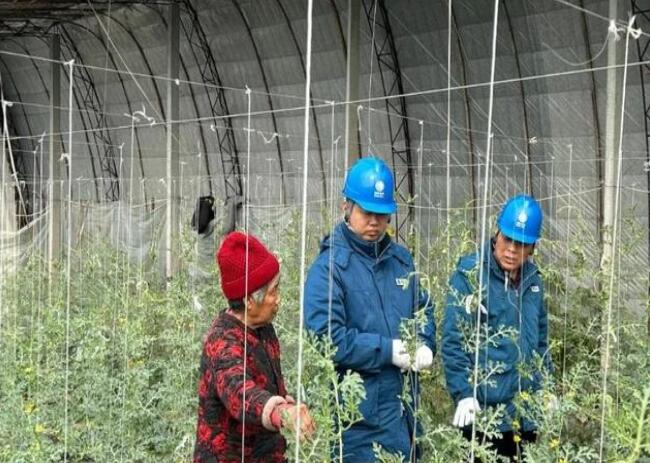 山東惠民供電公司：走訪種植大棚，優(yōu)化農(nóng)業(yè)營商環(huán)境