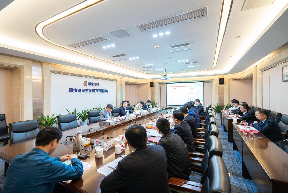 徐樹彪到重慶公司、遠達環(huán)保調研