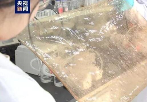 國產(chǎn)新型離子膜問世，有望在新能源的儲能領域廣泛應用