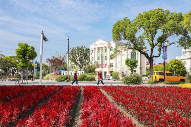 “電靚”和美鄉(xiāng)村，過去20年，杭州電力做了什么