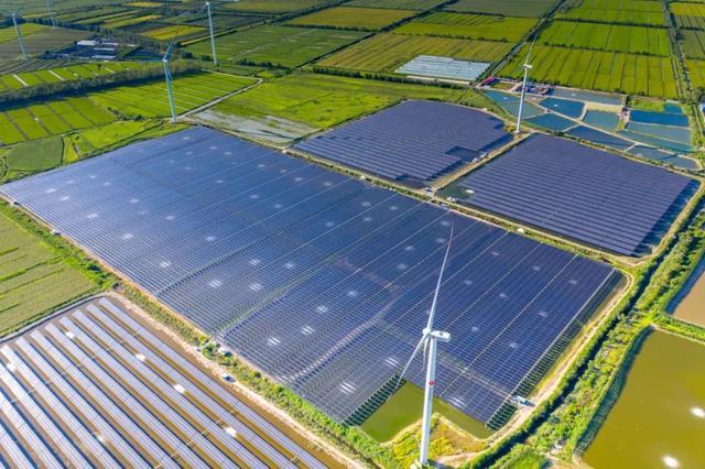 中國(guó)“雙碳”之路，要怎么走?