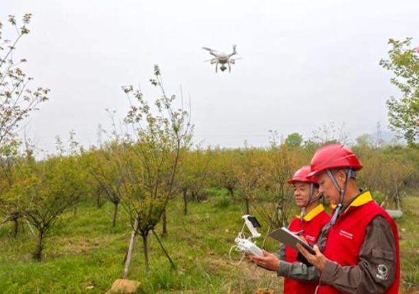 國網瑞安市供電公司清明前巡線 嚴密布控防山火