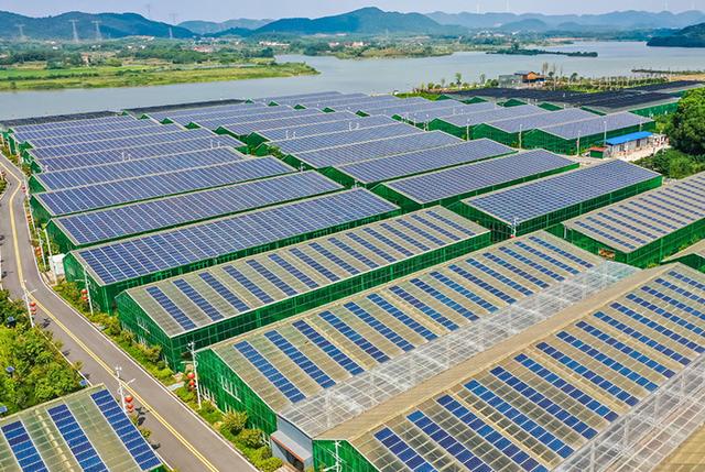 運(yùn)鴻集團(tuán)攜手光伏清潔能源,開啟綠色產(chǎn)業(yè)新篇章