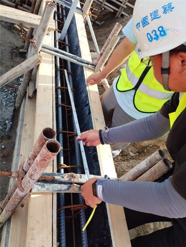 黨員先鋒展風(fēng)采，鑄就工程新樣板