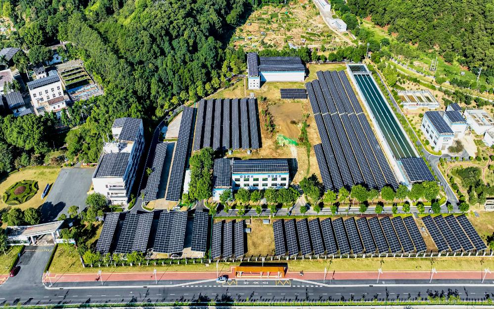 追“新”逐“綠” 粵?？毓杉瘓F(tuán)走實(shí)走好綠色低碳轉(zhuǎn)型高質(zhì)量發(fā)展道路