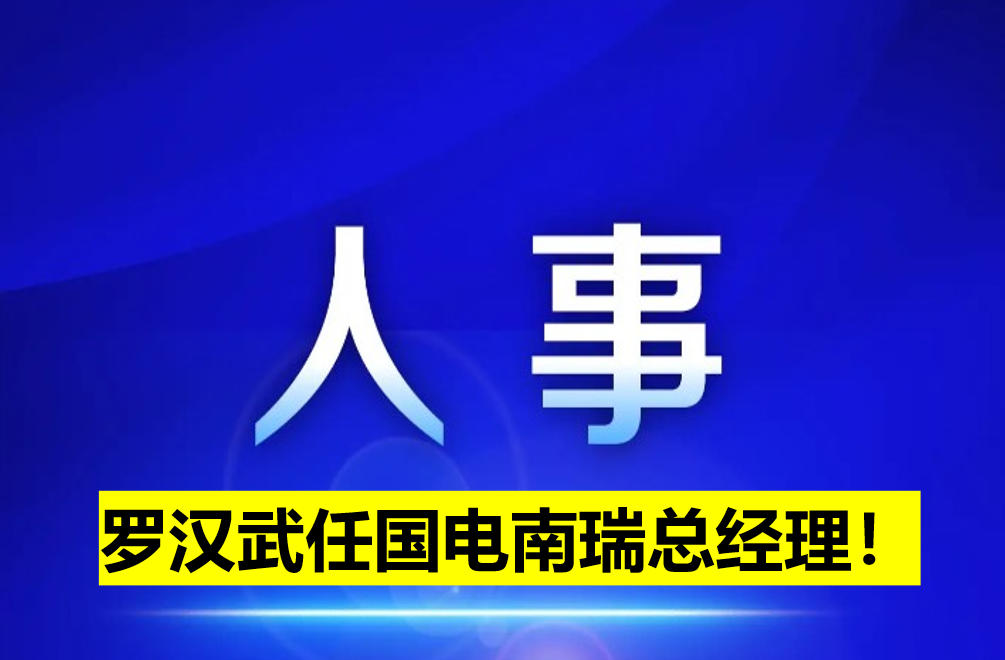 羅漢武任國電南瑞總經(jīng)理！